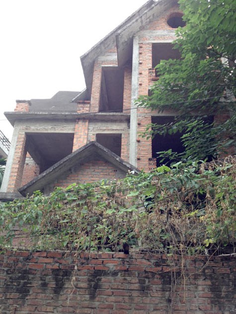 Một số người xây bịt cả căn nhà như lô cốt, mặc cho cây dại mọc đầy lối đi, leo lên tường.